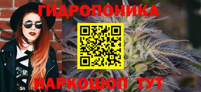 мет Бийск